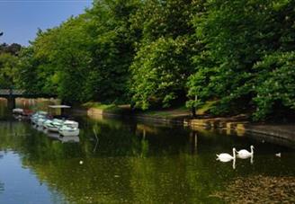 Churchtown Botanic Gardens