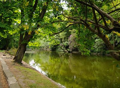 Botanic Gardens