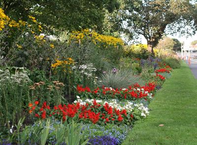 Rotten Row Rotten Row