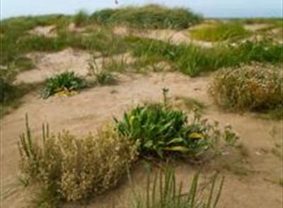 Queen's Jubilee Nature Trail Queen's Jubilee Nature Trail