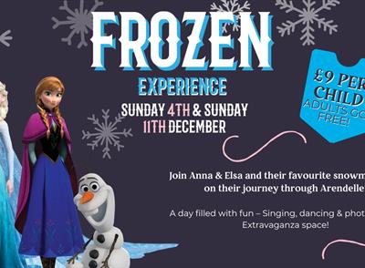 Frozen experience poster
