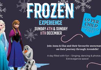 Frozen experience poster