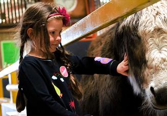A child stroking a donkey at Farmer Teds.