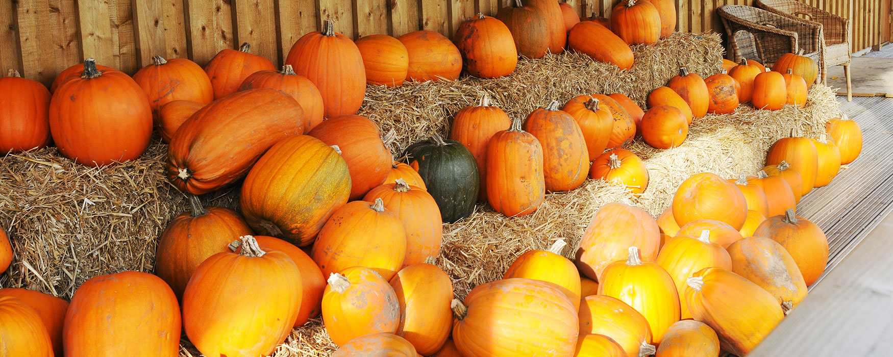 Halloween in Staffordshire Enjoy Staffordshire