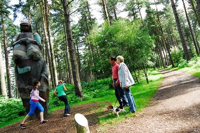 Go Ape Cannock Chase Enjoy Staffordshire