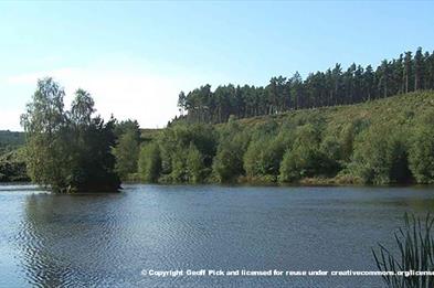 The beautiful Fairoak Pools at Cannock Chase, Staffordshire. Copyright Geoff Pick.