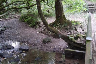 bridge over a stream