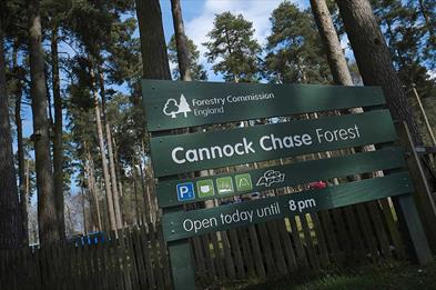 Go Ape Cannock Chase Enjoy Staffordshire