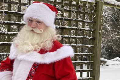 Santa stands in a snowy garden, next to a snow-covered trellis, and looks at the camera