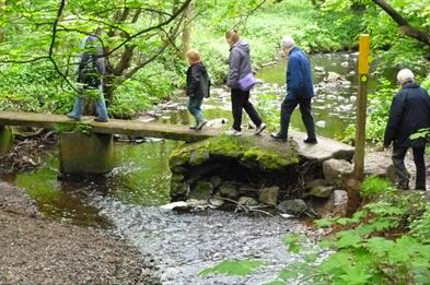 Servants Bridge in the National Forest- photo by Philip Thorne.