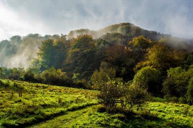 RSPB Coombes Valley Nature Research