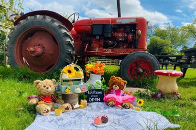 A tractor in a field, with two teddies enjoying a picnic