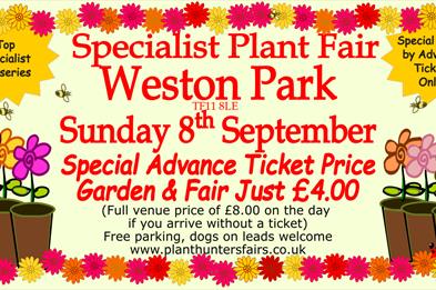 Autumn Plant Hunters' Fair at Weston Park