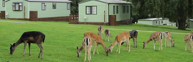 Places to stay in Cannock Chase