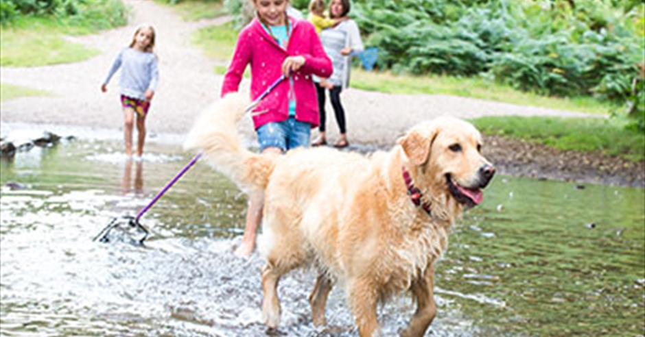 School Holidays in Staffordshire | Things To Do in Summer