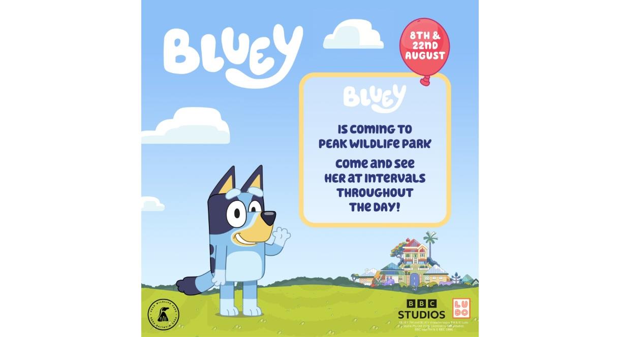 Meet Bluey at Peak Wildlife Park