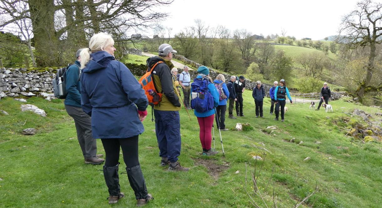 image of a group of walkers