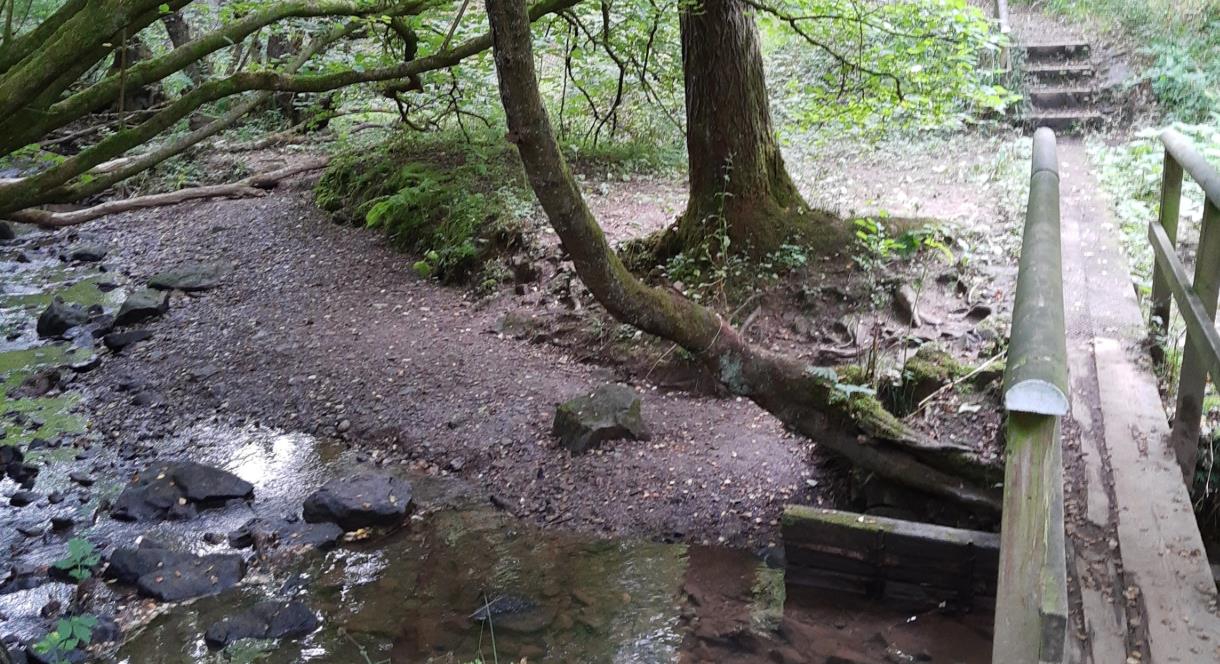 bridge over a stream