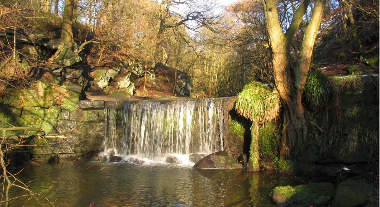 Waterfall from the Upper Trent at Knypersley in Greenway Bank