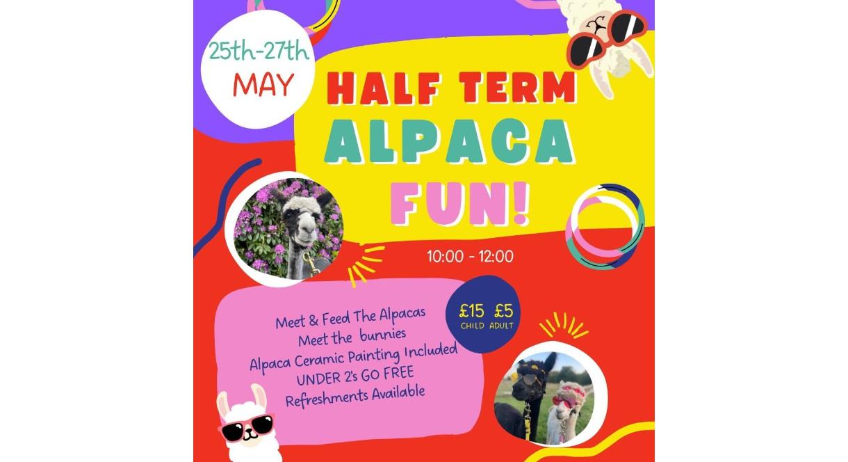 multiple images of alpacas and text for Half Term  Alpaca Fun