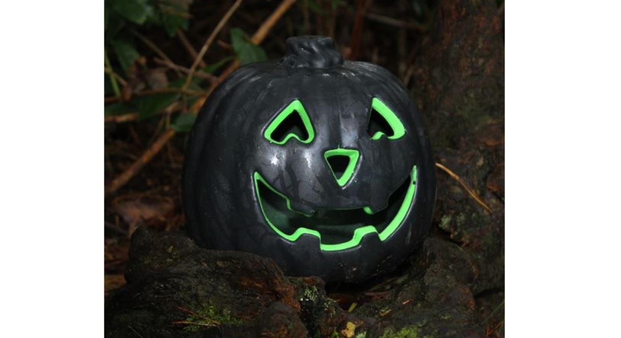 A black jack o lantern sits on a tree branch