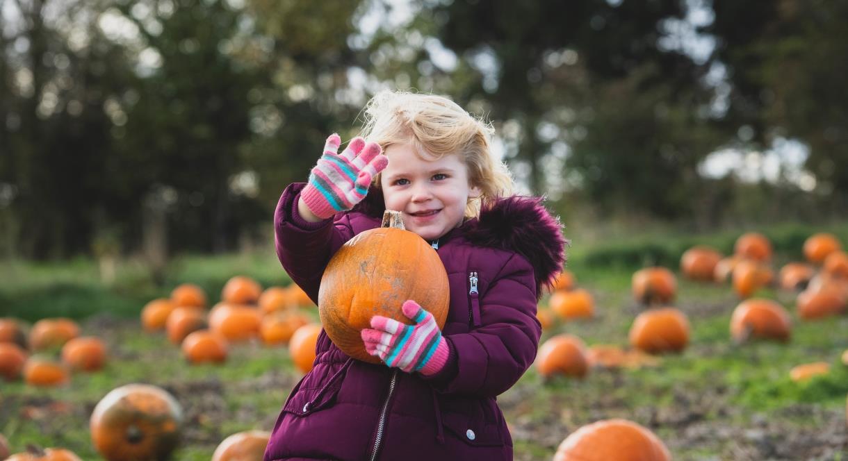 Halloween Spooktacular at Adventure Farm near Burton on Trent