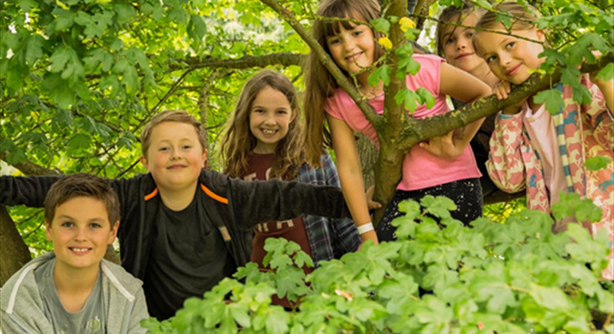 Staffordshire Wildlife Trust Burton Workshops