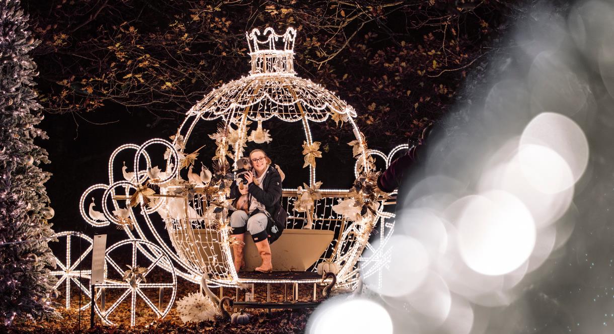 A beautiful carriage, covered in Christmas lights, with a family inside it