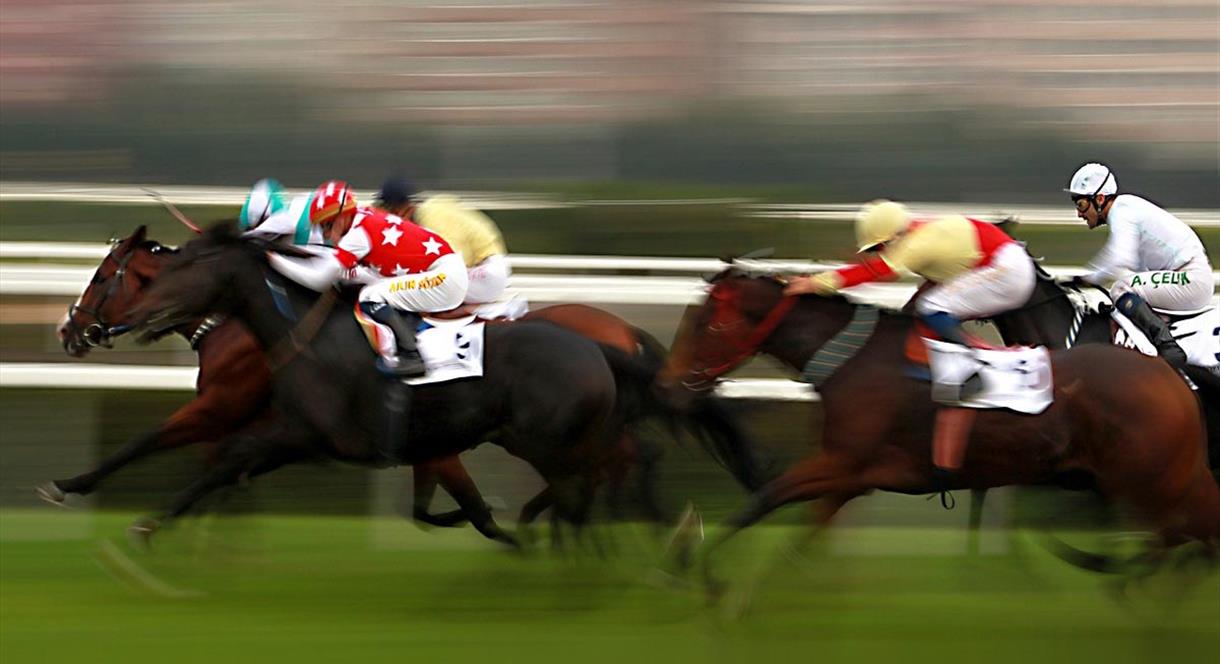 Race Night at Mayfield Memorial Hall