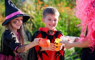 Children in Halloween costumes collecting some sweets