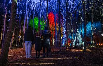 Visitors enjoy the spectacular light show illuminating trees and memorials at the National Memorial Arboretum