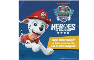Paw Patrol - Heroes in Training