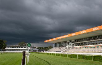 Christmas Party Raceday