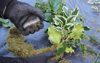 Christmas Wreath Workshop