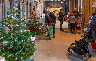 Christmas Tree Festival