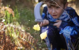 Image shows a boy in Halloween costume, kneeling down to look at a spider in a web
