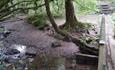 bridge over a stream