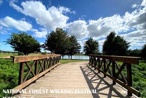 National Forest Walking Festival 8: Tucklesholme Nature Reserve & Barton Marina WALK