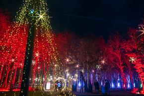 See the National Memorial Arboretum in a new light this Christmas!