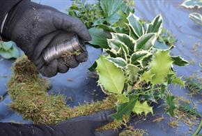 Christmas Wreath Workshop