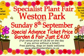 Autumn Plant Hunters' Fair at Weston Park