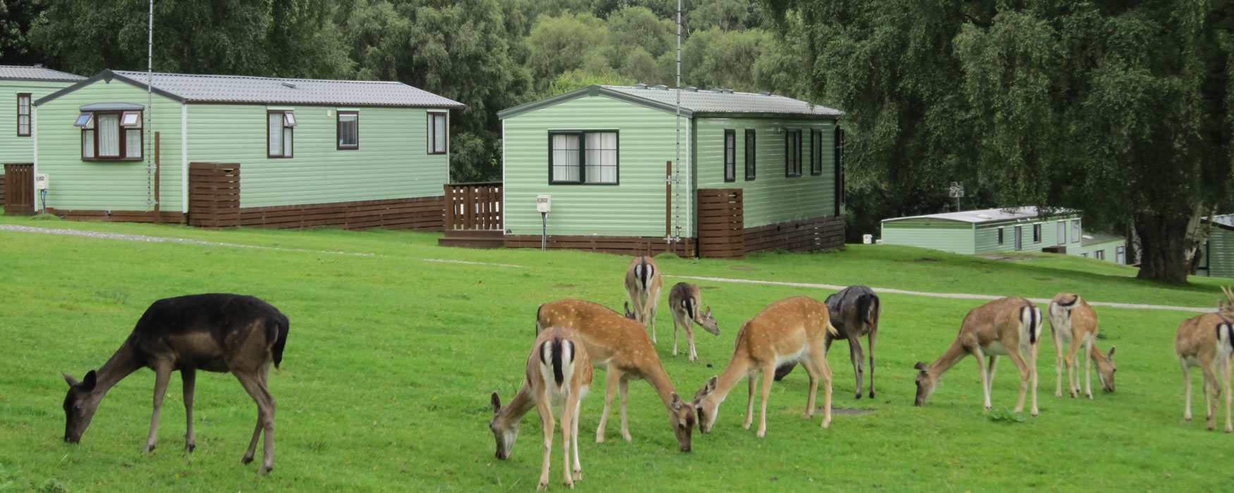 Holiday parks in lovely rural locations