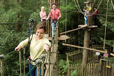 Get the family together for a tree top challenge at Go Ape! Cannock Chase