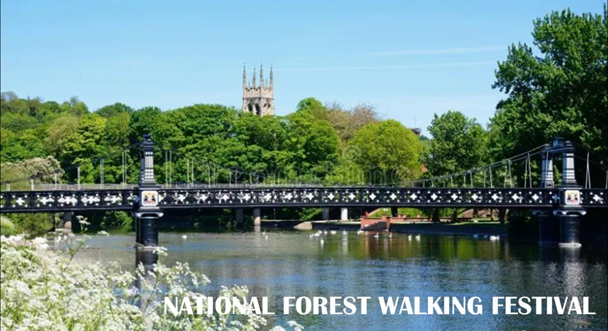 National Forest Walking Festival 24: Rewilding the Washlands walk