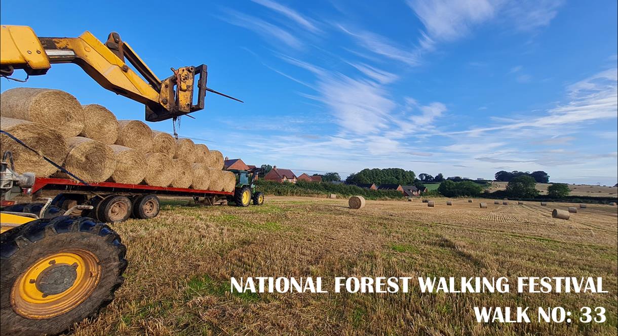 National Forest Walking Festival 33: Mercia Milk & Local Farming  Knowledge Walk