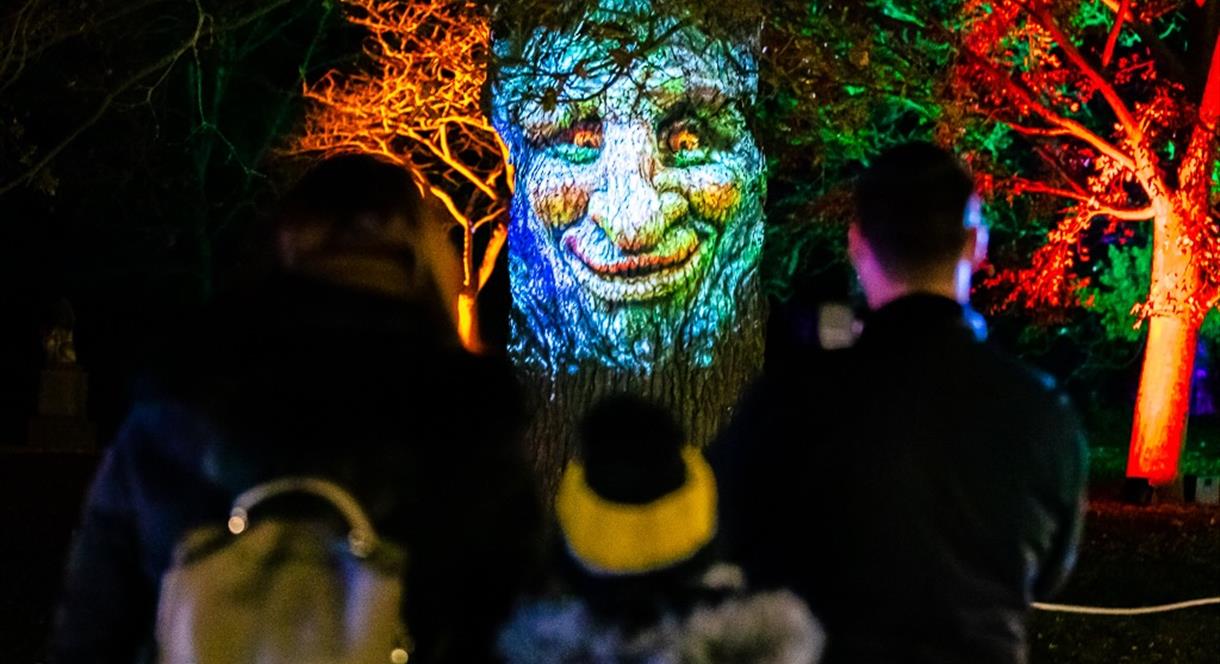 Luminate Shugborough