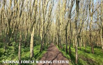 National Forest Walking Festival 76: Stapenhill Hollows Walk