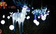 Some of the wonderful illuminated reindeer at Lightopia, Alton Towers Resort, Staffordshire