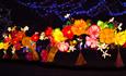 A dazzling display of illuminated flowers at Alton Towers Resort, Staffordshire