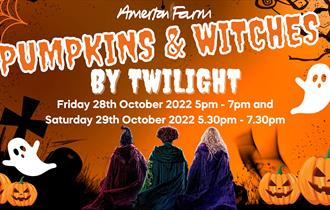 A graphic for Pumpkins & Witches by Twilight, at Amerton Farm, Staffordshire